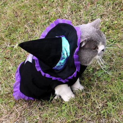 Christmas Wizard Dog Costume for Halloween