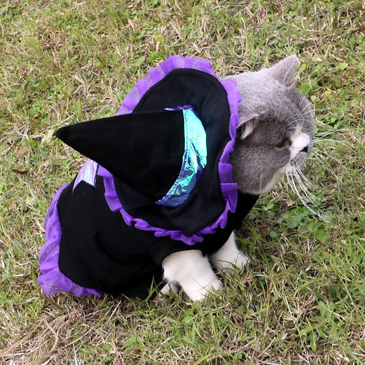 Christmas Wizard Dog Costume for Halloween