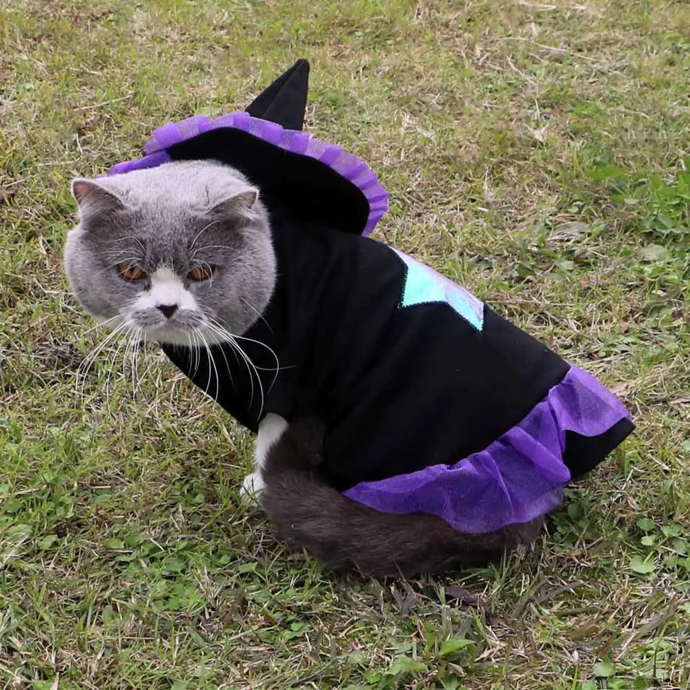 Christmas Wizard Dog Costume for Halloween