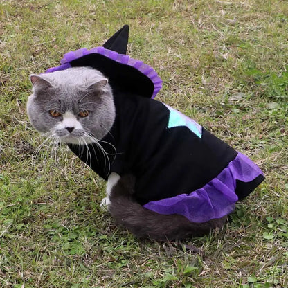Christmas Wizard Dog Costume for Halloween